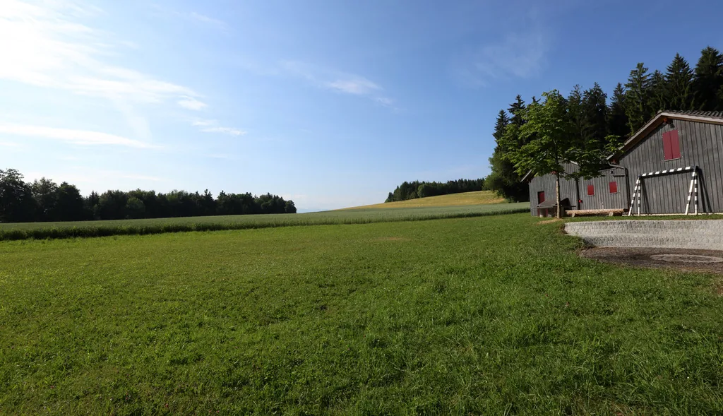 Die Spielwiese am Wald